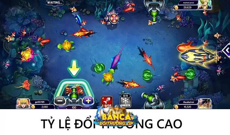 Bắn cá và kiếm điểm